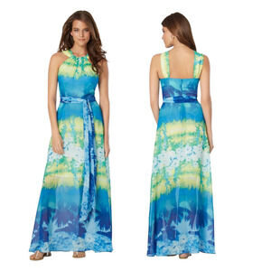 Muse Maxi Dress Women Size 6 Blue Green Tropical Floral Halter Sleeveless Belted